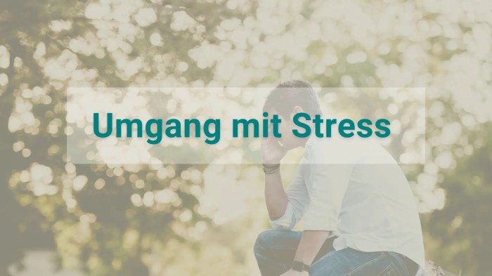 Emotionale Unterstützung bei Arbeitsplatzstress