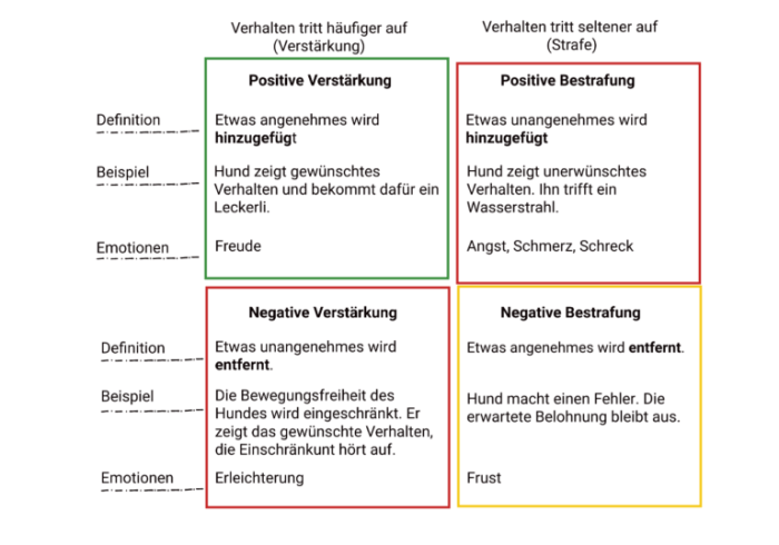 Positive Verstärkung als Belohnung