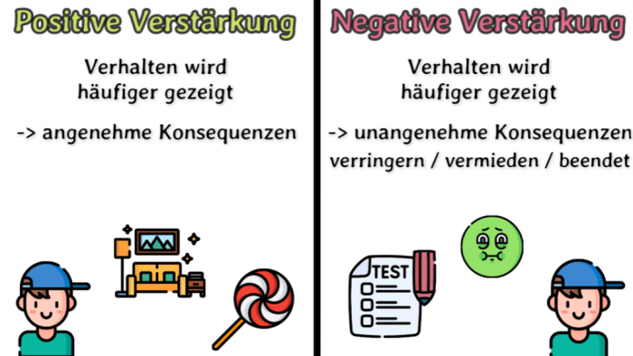 Positive Verstärkung in der Tiererziehung