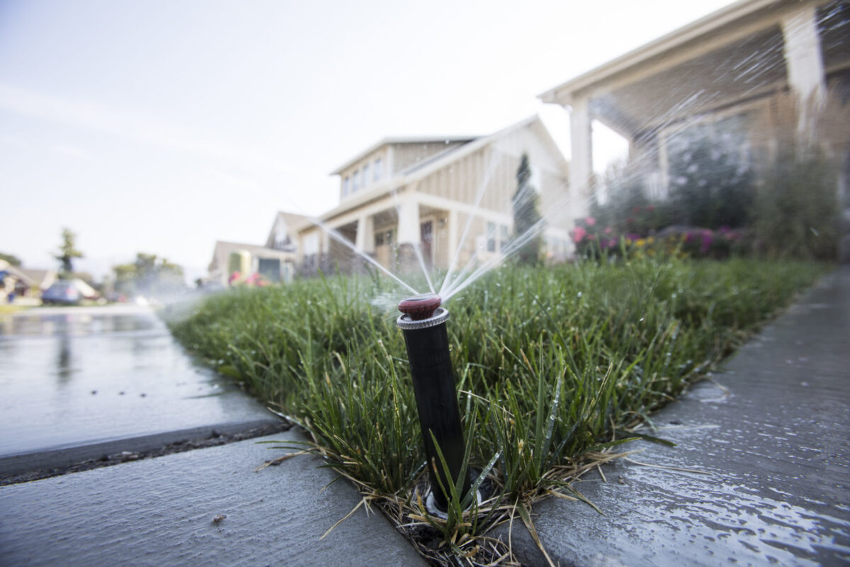 Watering lawn lawns maintenance thing