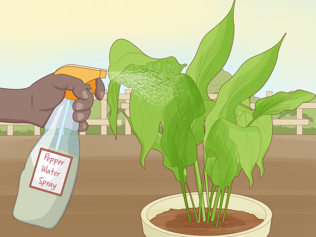 Disease management integrated crops