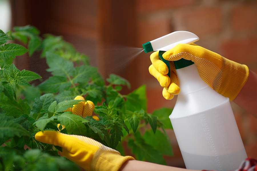 Plant protection pesticides appropriately use