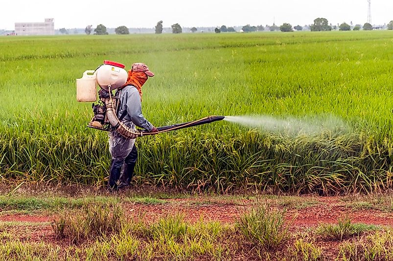 Pests pesticides carefully